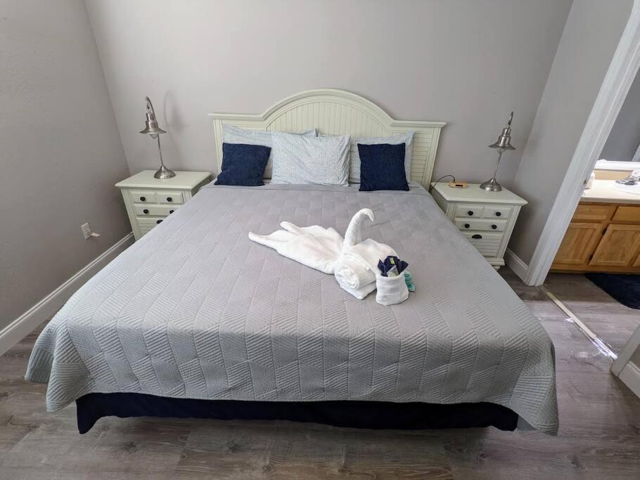 Nice & Cozy - Vacation Home Kissimmee Eksteriør bilde